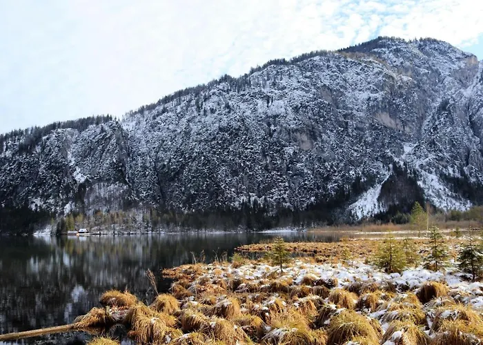 Апартаменты Taubenschlag - 4 By Interhome